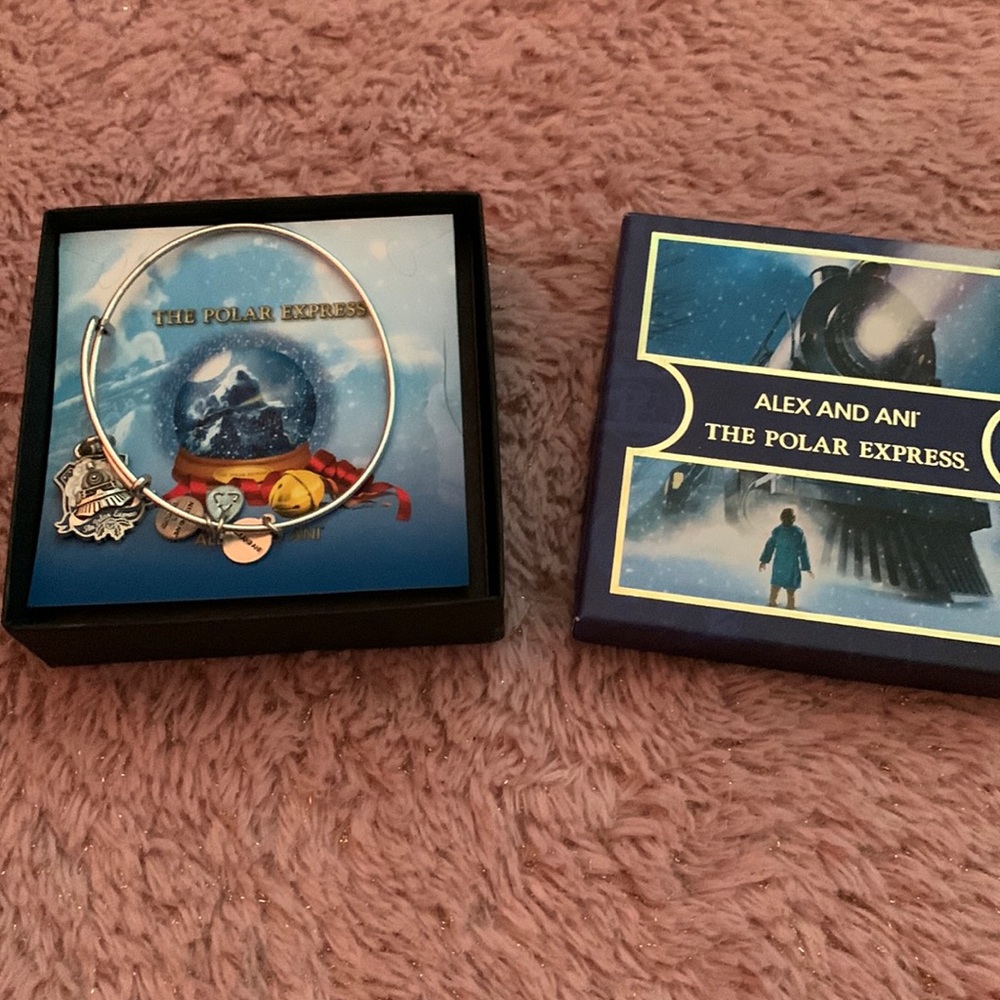 Alex and Ani Polar express bracelet